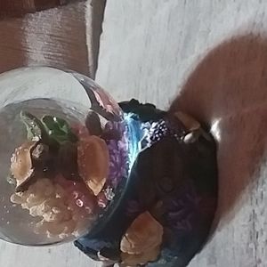 Turtle snow globe